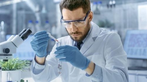 biotech colleges in pune