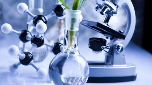 Best biotechnology colleges in pune