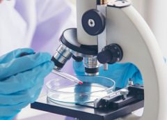 Best Biotechnology College In Pune