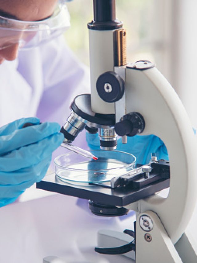 Biotechnology Colleges in Pune