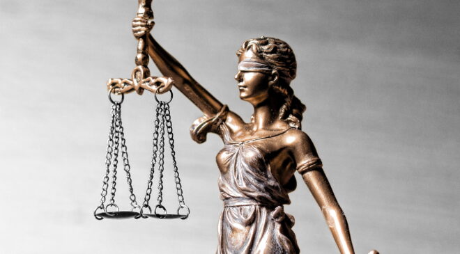 career options after llb